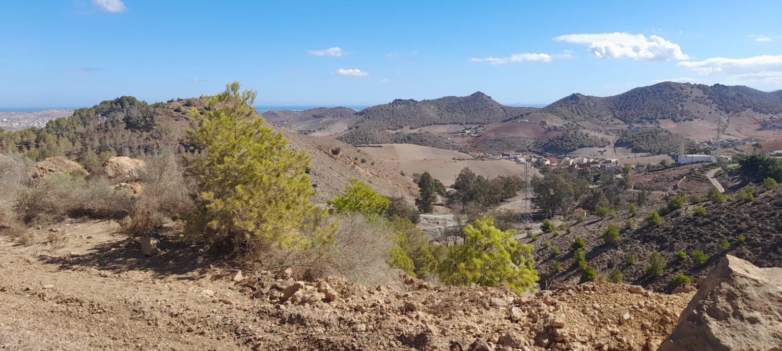 Nador Vert